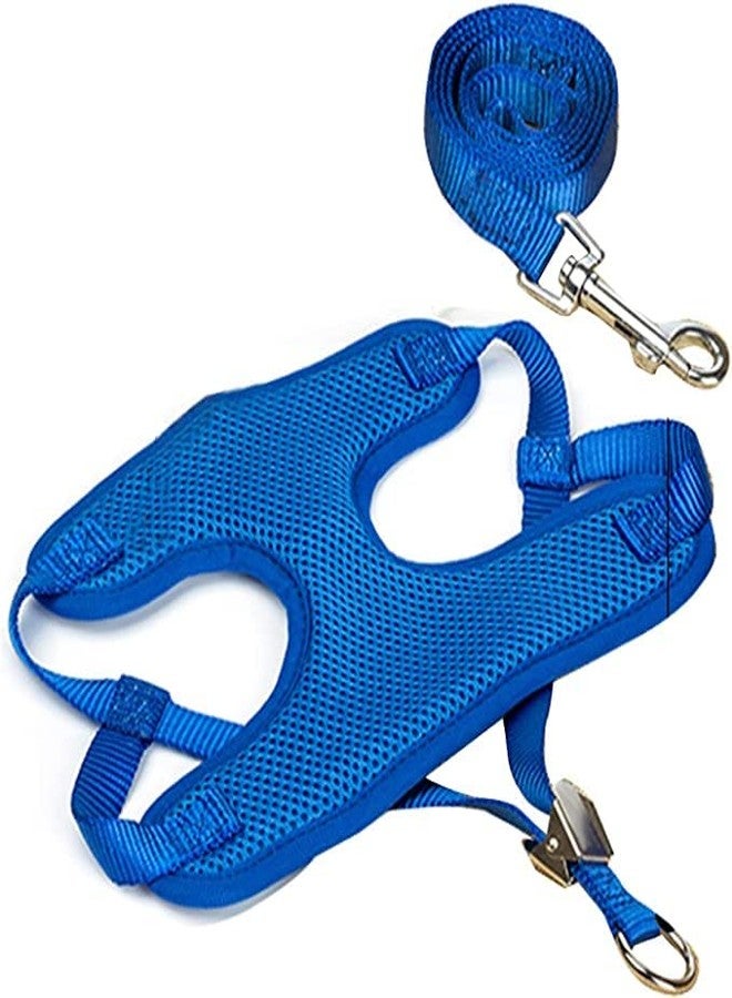 Pups&Pets Puppy Harness and Leash Set - Adjustable Soft Mesh Comfort Fit Harness No Pull No Choke - Blue - Image 2